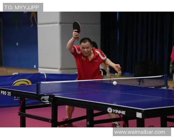 武汉乒乓球队个人能力分析与发展策略探讨